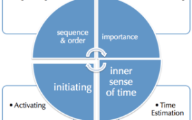 Executive functioning